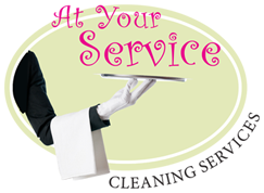 home clean company logo - AYS